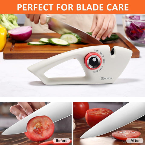 PAUDIN Knife Sharpener - KS2 - Paudin Store
